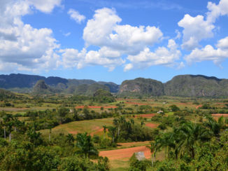 Havana - Valleien van Vinales