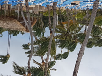 Santo Domingo (Dominicaanse Republiek) - Kerk kan er ook behoorlijk hard waaien