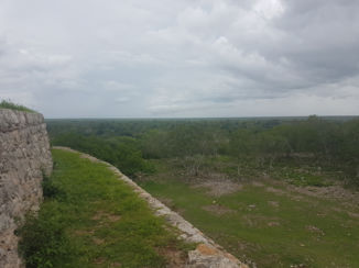 Riksja Mexico, Belize & Guatemala - Uitzicht over de jungle vanaf een Maya-piramide