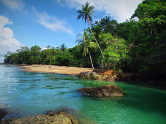 Corcovado National Park - Rio Claro, Corcovado