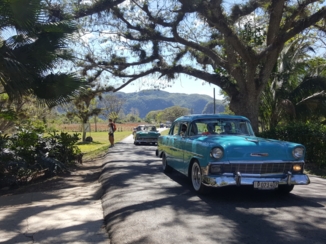 Cuba - Vallei van vinnales