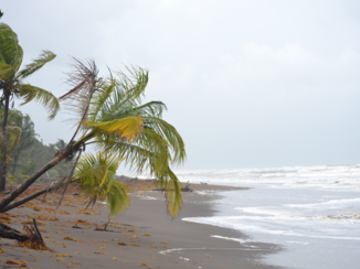 Costa Rica - Strand
