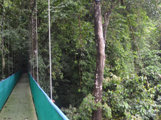 Costa Rica - Hangbrug