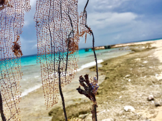 Curaçao - Klein Curacao