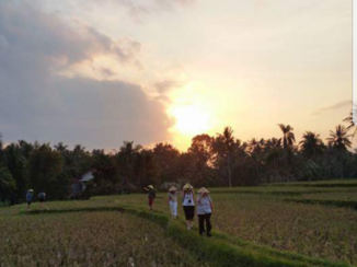 ANWB Vakantie