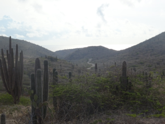 Aruba - Way to beautiful view