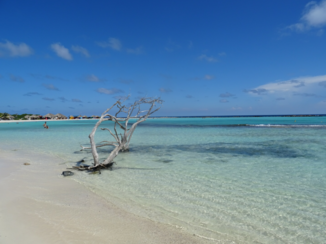 Aruba - Baby beach