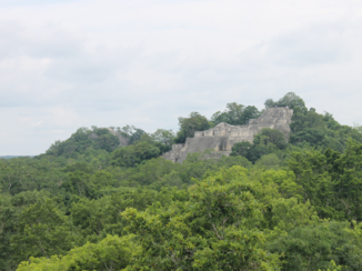 Mexico - Calakmul