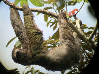 Manuel Antonio National Park
