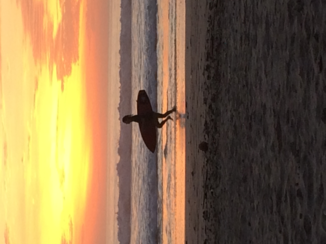 Costa Rica - Santa Theresa