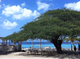 Curaçao - Kokomo beachclub