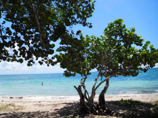 Havana - mooie stranden