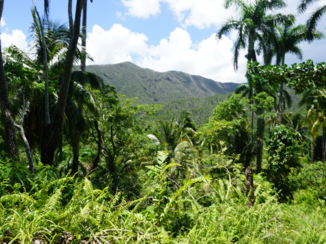 Cuba - Natuurpark bij Baracoa