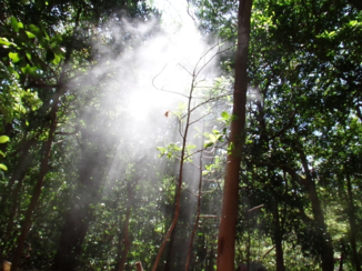 Costa Rica - Vulkaangassen bewonderen (met je neus dicht)