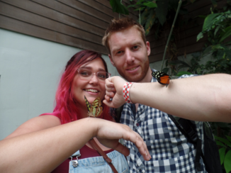 Costa Rica - Net uit gepopte vlinder los mogen laten in de vlindertuin