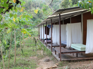 Costa Rica - Sleeping in the jungle