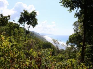 Costa Rica - Ongerepte natuur