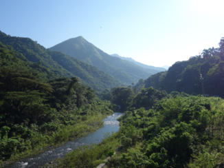Cuba - Oerwoud op Cuba