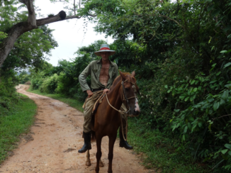 Cuba - Local op paard