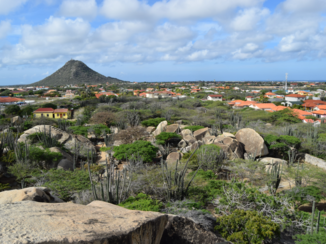 Aruba