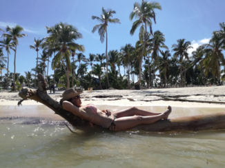 Punta Cana - Postcard picture!