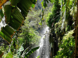 Mexico - waterval