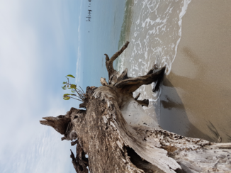 Costa Rica - Carribean sea