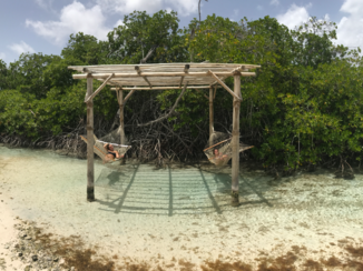 Aruba - Chille met die bille