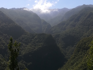La Palma - Los Tilos.