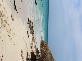 Aruba - Manchebo beach