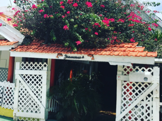 Curaçao - Jaanchie’s hotspot!