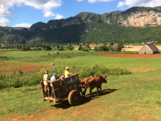 Viñales Valley