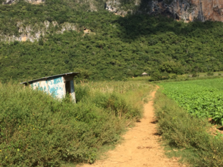 Viñales Valley