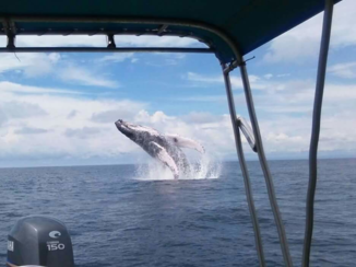 Costa Rica - onderweg naar Corcovado