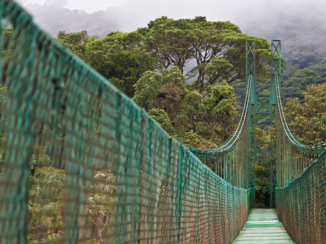 Costa Rica - Het prachtige nevelwoud van MonteVerde