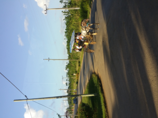 Cuba - Paard en wagen