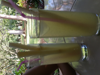 Cuba - Rietsuiker en rum