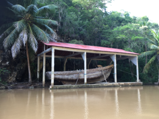 Dominicaanse Republiek - A surprise on The river