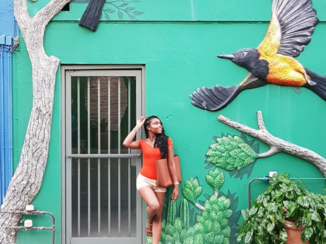 Curaçao - Punda Vibes