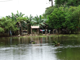 Costa Rica - Cano Negro
