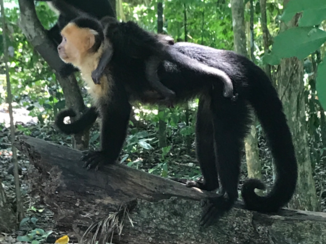 Costa Rica - Mama met baby