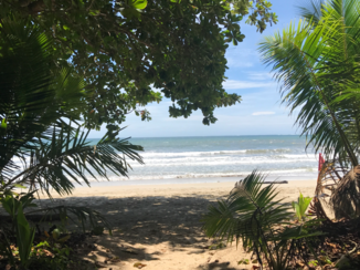 Costa Rica - Natuur