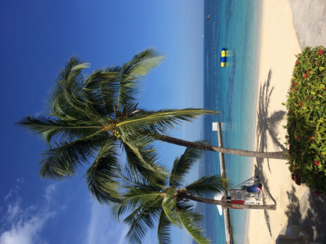 Blue Lagoon - Doctor's cave beach jamaica