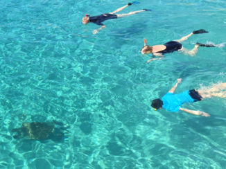 Curaçao - Snorkellen met schildpadden