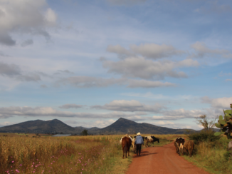 Mexico - Mexicaanse file