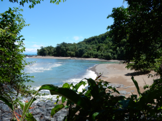 Costa Rica - Net buiten Corcovado N.P.