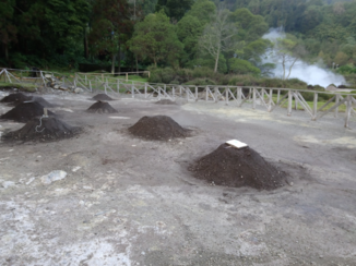 San Miguel - Stoofpotje