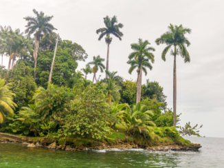 Riksja Costa Rica - Hospital Point, Bocas del Torro