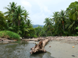 Costa Rica in drie weken