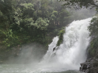 Costa Rica in drie weken